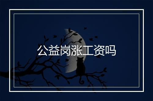 公益岗涨工资吗