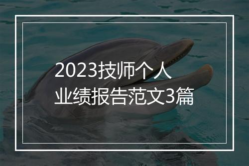 2023技师个人业绩报告范文3篇