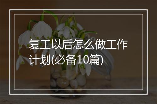 复工以后怎么做工作计划(必备10篇)