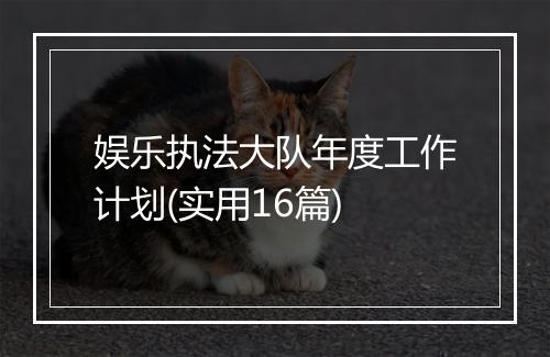 娱乐执法大队年度工作计划(实用16篇)