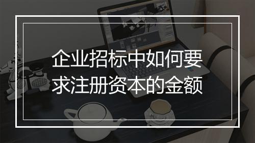 企业招标中如何要求注册资本的金额