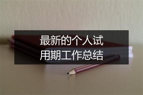 最新的个人试用期工作总结