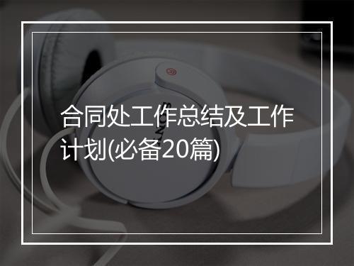 合同处工作总结及工作计划(必备20篇)