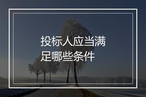 投标人应当满足哪些条件