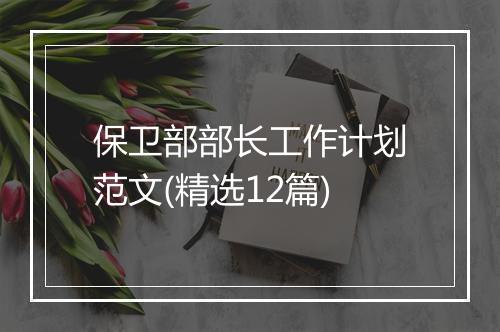 保卫部部长工作计划范文(精选12篇)