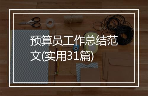预算员工作总结范文(实用31篇)