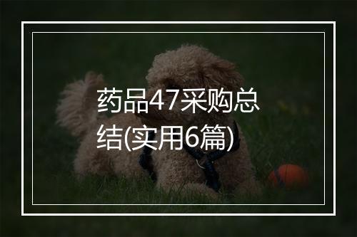 药品47采购总结(实用6篇)
