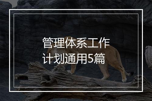 管理体系工作计划通用5篇