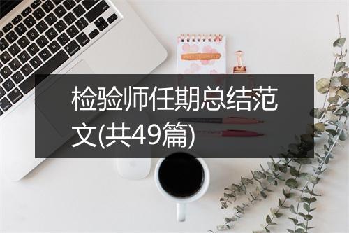 检验师任期总结范文(共49篇)