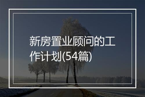 新房置业顾问的工作计划(54篇)