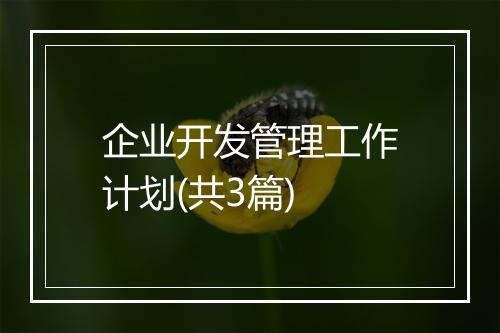 企业开发管理工作计划(共3篇)