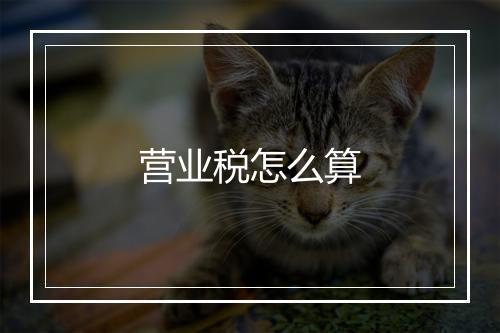 营业税怎么算