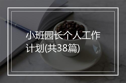 小班园长个人工作计划(共38篇)