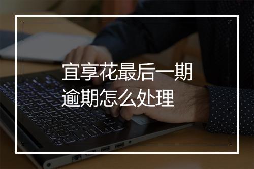 宜享花最后一期逾期怎么处理