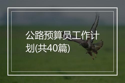 公路预算员工作计划(共40篇)