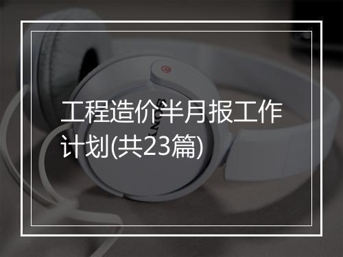 工程造价半月报工作计划(共23篇)