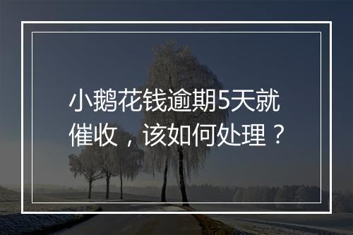 小鹅花钱逾期5天就催收，该如何处理？