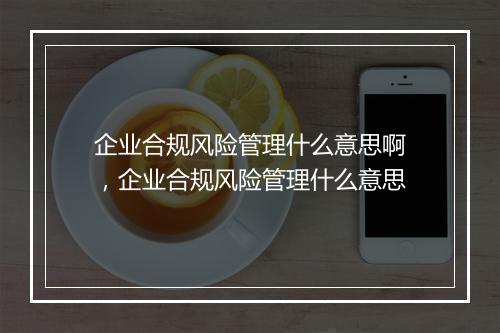 企业合规风险管理什么意思啊，企业合规风险管理什么意思