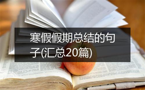 寒假假期总结的句子(汇总20篇)