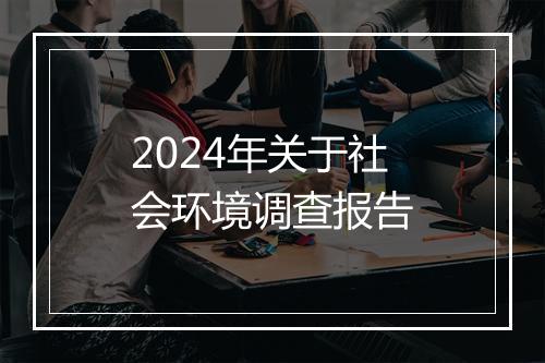 2024年关于社会环境调查报告