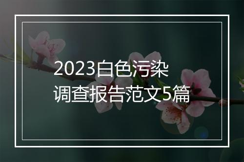 2023白色污染调查报告范文5篇