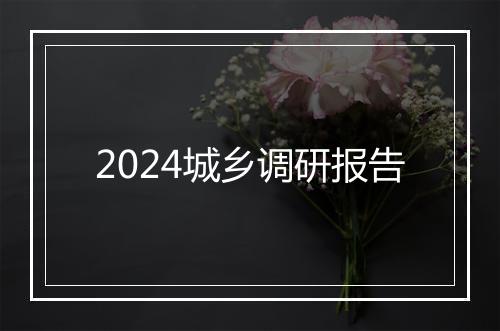 2024城乡调研报告