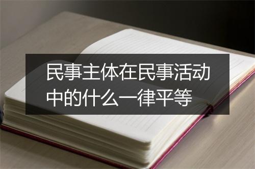 民事主体在民事活动中的什么一律平等