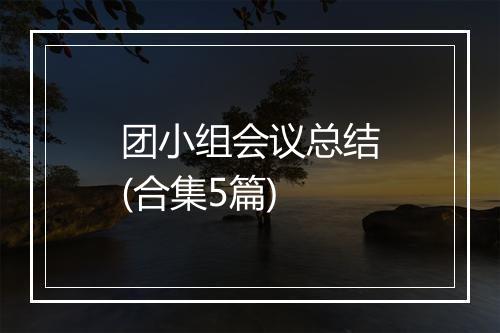 团小组会议总结(合集5篇)
