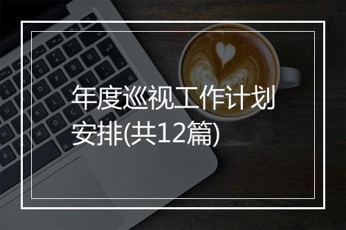年度巡视工作计划安排(共12篇)