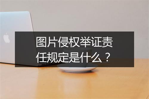 图片侵权举证责任规定是什么？
