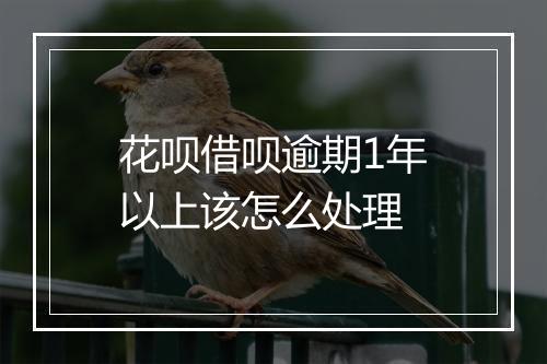 花呗借呗逾期1年以上该怎么处理