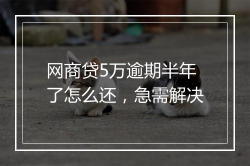 网商贷5万逾期半年了怎么还，急需解决