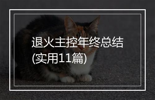 退火主控年终总结(实用11篇)