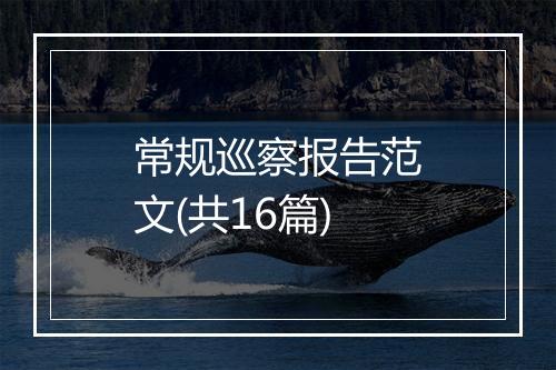 常规巡察报告范文(共16篇)