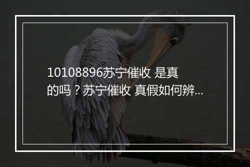 10108896苏宁催收 是真的吗？苏宁催收 真假如何辨别？