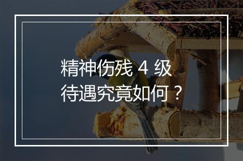 精神伤残 4 级待遇究竟如何？