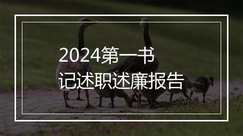 2024第一书记述职述廉报告