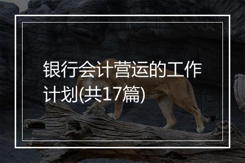 银行会计营运的工作计划(共17篇)