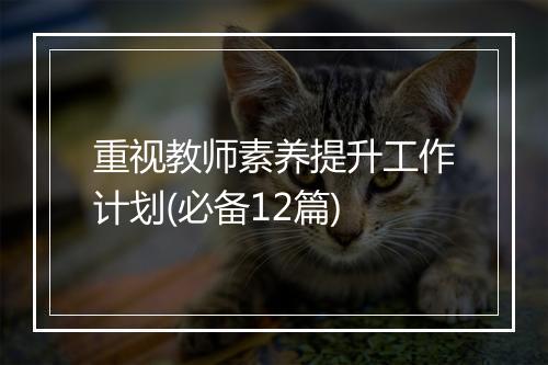 重视教师素养提升工作计划(必备12篇)