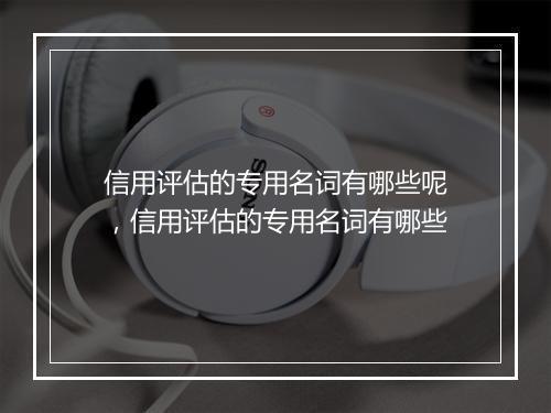 信用评估的专用名词有哪些呢，信用评估的专用名词有哪些