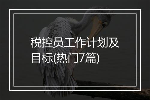 税控员工作计划及目标(热门7篇)