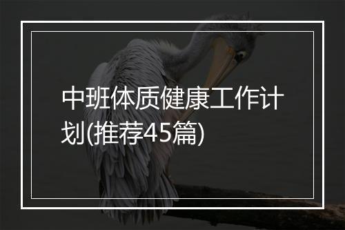中班体质健康工作计划(推荐45篇)