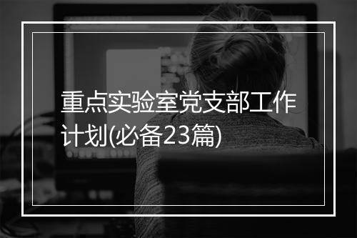 重点实验室党支部工作计划(必备23篇)
