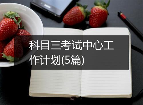 科目三考试中心工作计划(5篇)