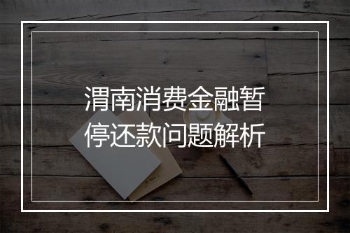 渭南消费金融暂停还款问题解析