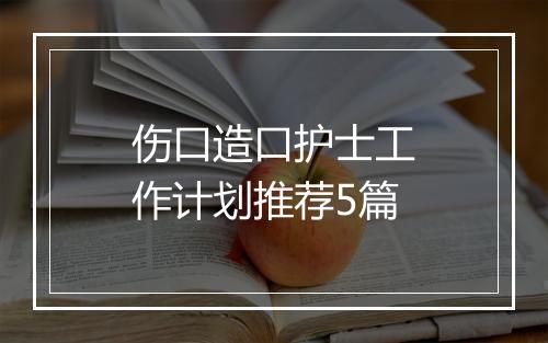 伤口造口护士工作计划推荐5篇