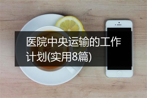 医院中央运输的工作计划(实用8篇)