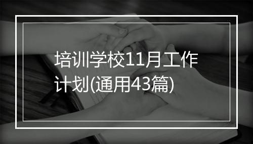 培训学校11月工作计划(通用43篇)