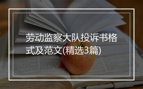 劳动监察大队投诉书格式及范文(精选3篇)