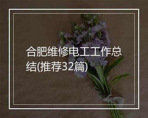 合肥维修电工工作总结(推荐32篇)